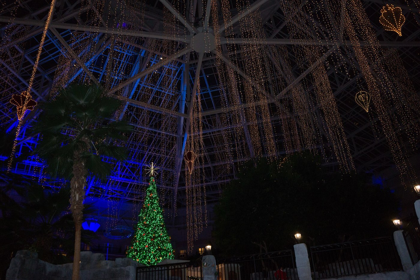 Gaylord Palms