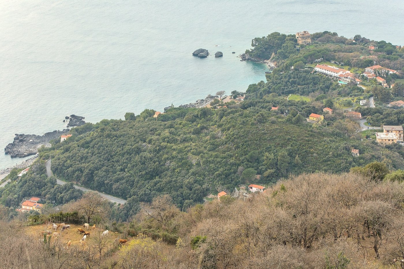 Santavenere